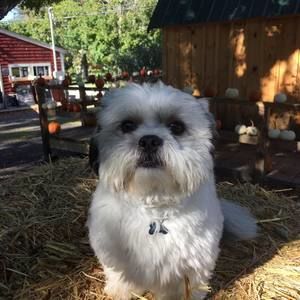 Meet your Posher, Paula